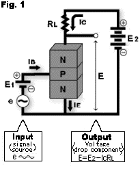 Fig. 1