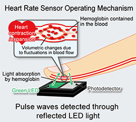 Heart Rate Sensor Operating Mechanism