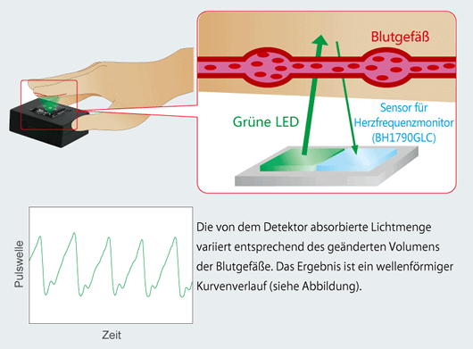 Funktionsweise des optischen Herzfrequenzsensors